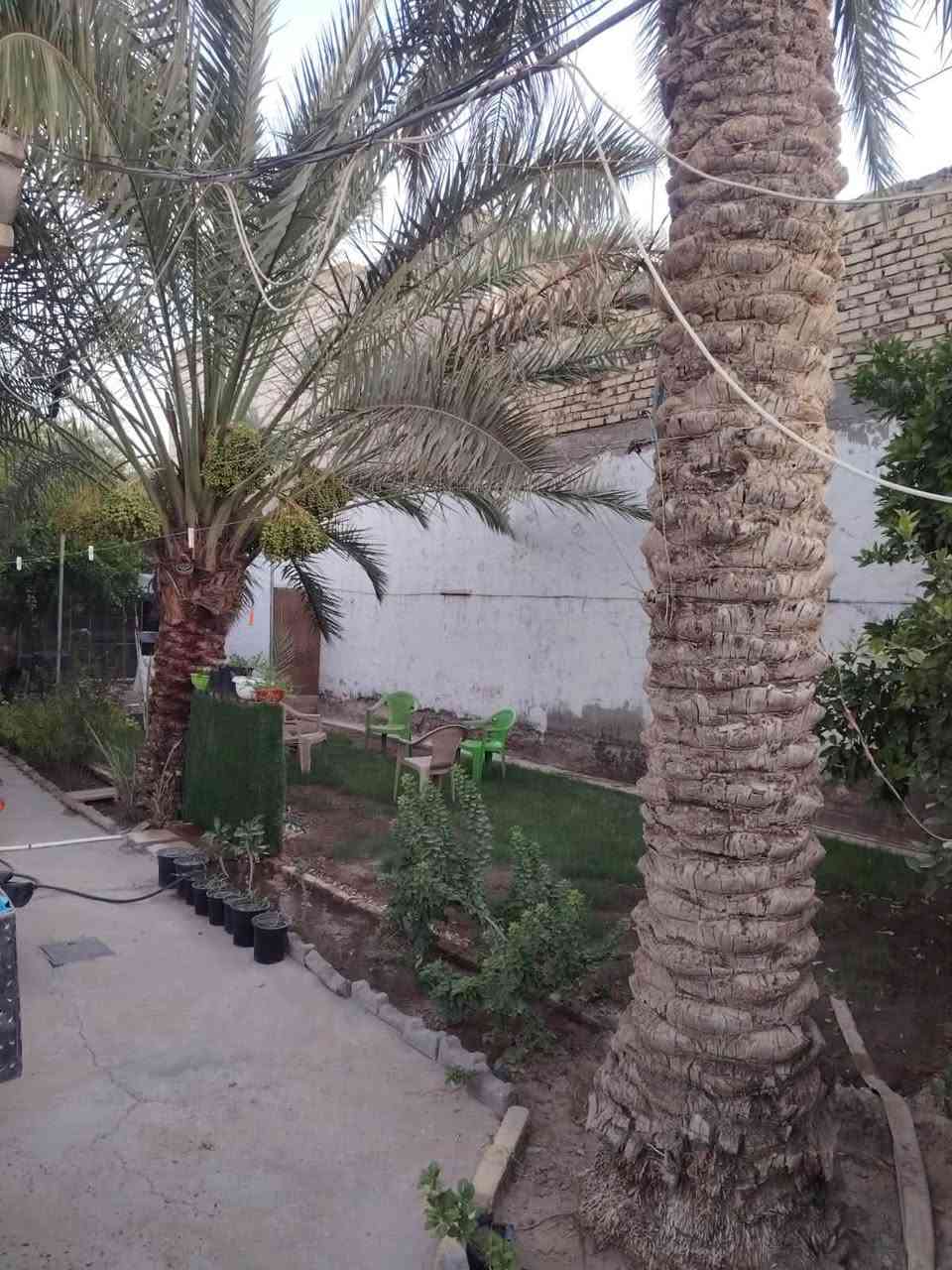 دار طابقين للبيع طابو زراعي سند 25
مساحة الدار 300 متر
مساحة البناء 170 متر
يتكون من غرفتين 5*4
استقبال 4.40*6
مطبخ 4*4
كليدور 5*7
مجمع صحي 3.50*2.20
الطابق الثاني يتكون من غرفتين نفس قياس المطبخ والاستقبال
بيتونه 4*6
حديقة جانب الدار مساحتها 100 متر
***********
