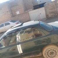 سيفية • ١٩٩٣ • رقم ديالى