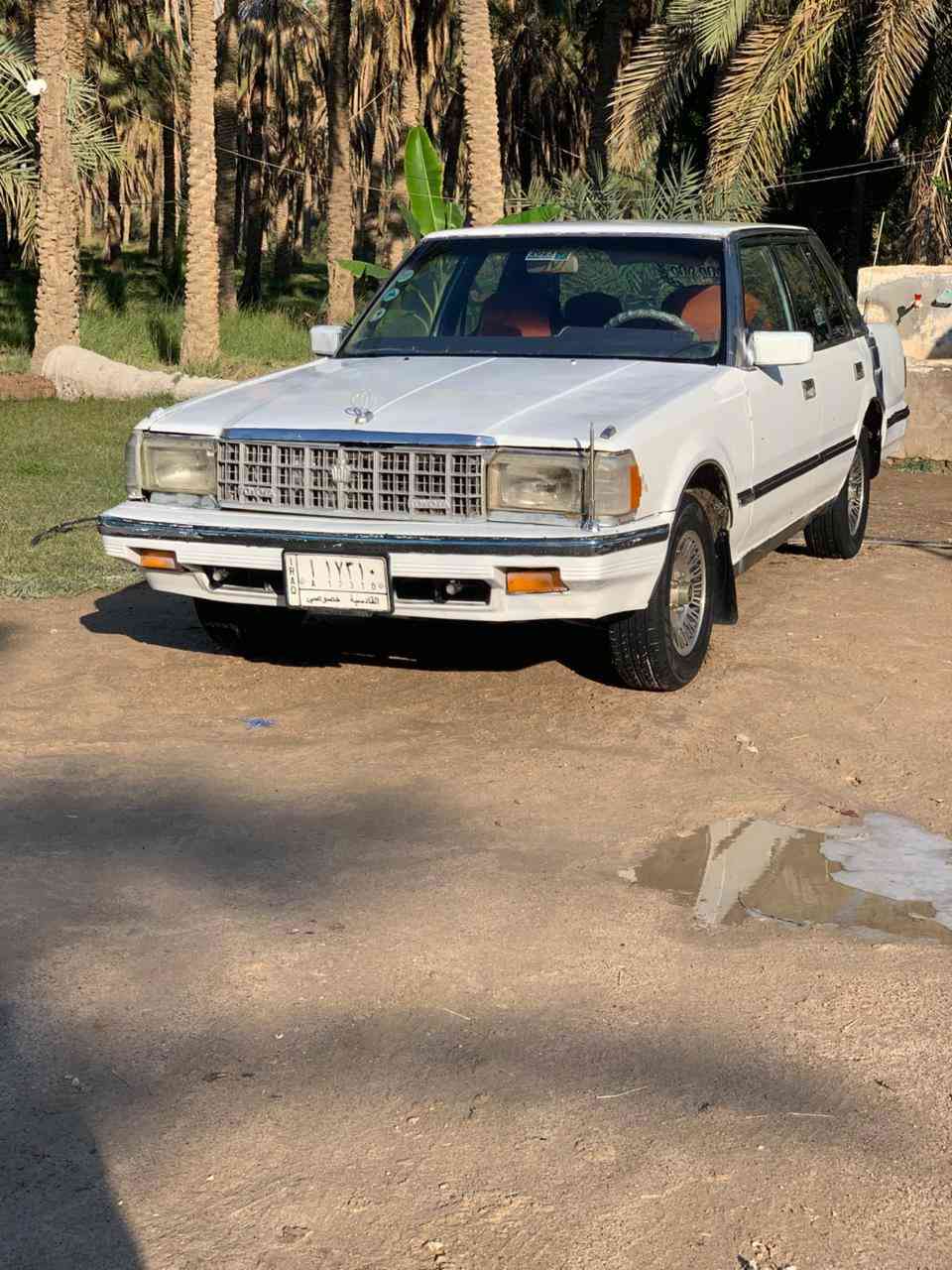 سوبر 85 رقم قادسيه
سياره جاهزه  حداديه تخم تاير كهربائيات زنون عالي ناصي كير ومحرك ونجي جاهزه نقصهه فقط تبريد سنويه منتهيه سنه 2023 راعيهه الشرعي بسماوه عدي وكاله عامه مطلقه ام الباركود (انه اداورلك )
مكاني ناصريه مركز السعر 38 وبيهه مجال للشراي *********** او ***********
