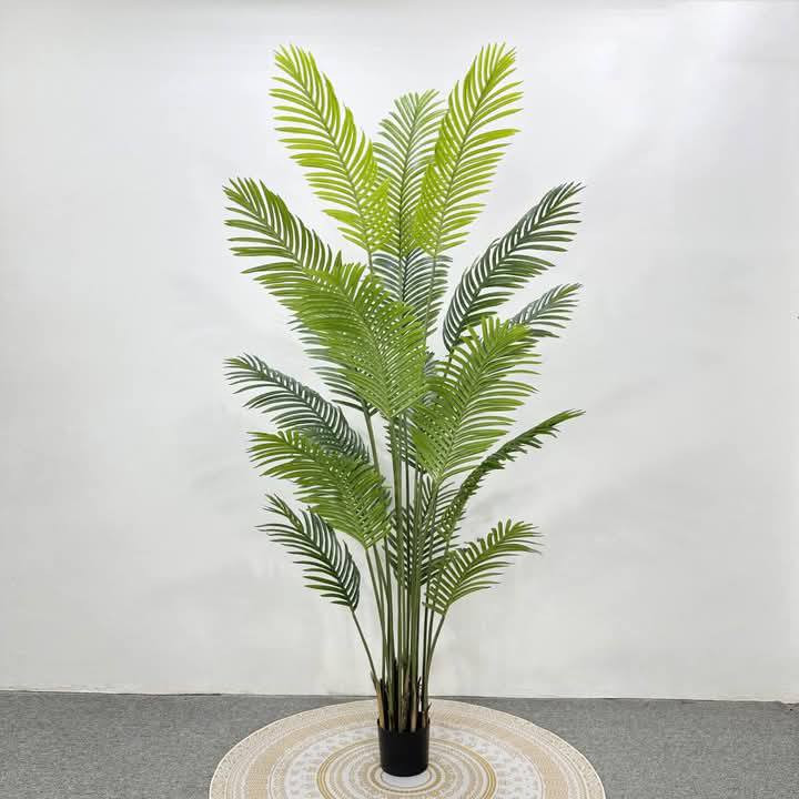 شجرة نخلة ارتفاع ( مترين و 20 سم )
عملاقة وورقها مثل الطبيعي
التفاصيل داخل الصور متوفر قطعتين


**إذا كنت صاحب هذا الإعلان وتريد حذفه لأي سبب، رجاءا أرسل رسالة إلى الدعم الفني**