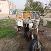 ستوته • مديل 12 • اوراقه ضايعه