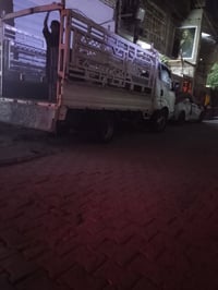 كيه حمل فحل مديل 17البيع 07735859290
