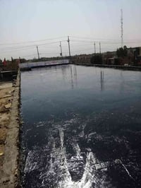 تزفيت سطوح • ماستك • سوق الشيوخ