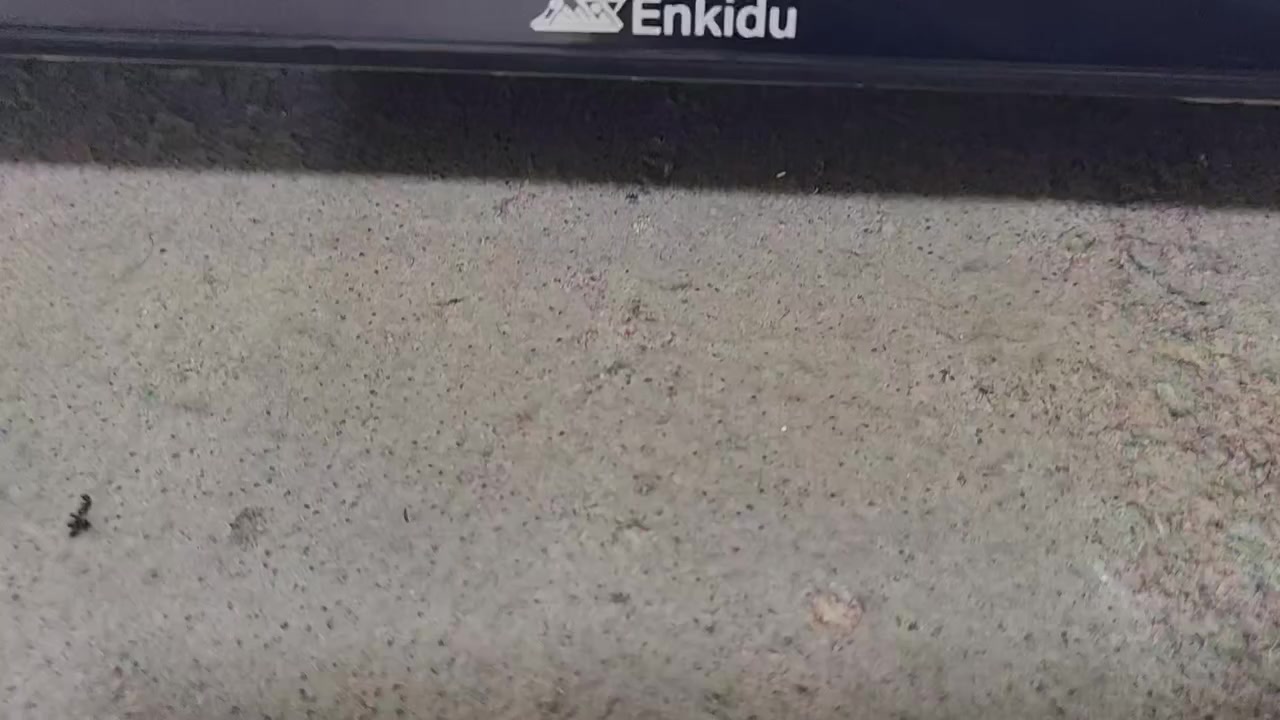 علمن الشاشه جديد لوك بلجيس *********** هاتف واتساب
سلام عليكم شاشه حجم 55 نوع انكيدو
4K حقيقي
بدقه 2160 دقه
معه برنامج يشغل جميع مباريات بين سبورت قنوات ولافلم
معه برنامج سينمانا شغال جميع الفلام ولمسلسلات المدبلجه
انترنيت كلش سريع تحكم كلش سلس وسريع يوتيوب كلش سريع
معه كرت ضمان 6 اشهر
سعره 325
مكاني بغداد مدينه الصدر
*********** هاتف واتساب
