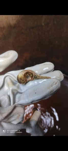 داشکاندن تا ١٥/١/٢٠٢٦
بۆیە هەر ئیستا تەلەفون بکە سەرەیەک بۆ خۆت بنوسە تا تەنکیەکانتان بە جوانترین شێواز بۆ پاک بکەینەوە بە سعری زۆر زۆر کەم
ژمارەی موبایل
***********
