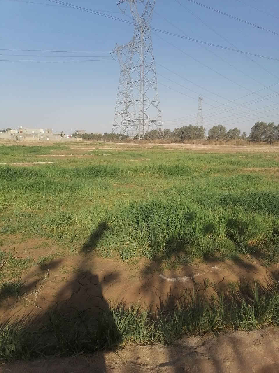 سلام عليكم كاع البيع ٨ دونم ماطور كاز وقرطاس بيتين واحد كامل تكدر تنزل بيه واحد عوزه بس كهرباءوالباخ وماء رساله ونهرسكي شتاء وصيفي بغداد نهروان تقاطع نهروان يم حسينية جعفر الصادق وكذالك سواق ماركت القمه سحب موجود مدرسة موجود تصل بيك خير ودلل ***********
