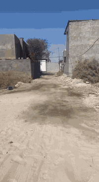 يعلن مكتب دارك للعقار عن توفر بيت للبيع في شط العرب الفيروزيه شارع 9 المساحه 200 متر طابوا ملك صرف زراعي باسم عراقي السعر 95 قابل للتفاوض.***********
