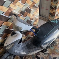 منغولي كفاله عامه ونعومه فول اوراق  سعر ٧٥٠ وبيه مجال للشراي مكاني عما...