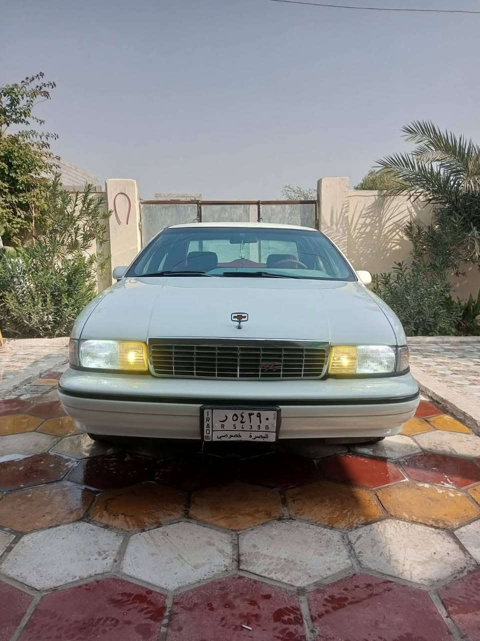 دولفين مجول ١٩٩٤
معمرة كامل وجاهزه من كلشي 
السعر ٦٥ وبيه مجال 
***********
