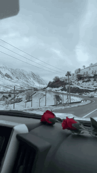 گروبات يومياً

جبال كورك 

جبال حاج عمران 

سيارات خصوصي بأنسب الاسعار 

☃️***********
☃️***********
