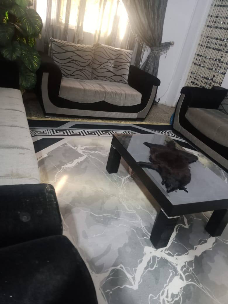 تخم قنفات مع برده وسيت طبلات وسجاده نظافه  مثل مامبين بالصوره السعره ٥٠٠ الف عنوان خور الزبير شارع علويه رقم ***********
