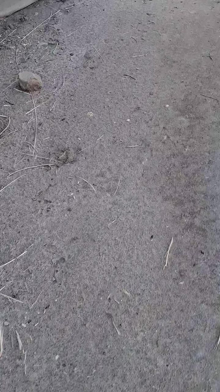 سلا عليكم في كربلاء البيع 2000متر يرهم مراوس او بيع
نقد سعر160بيه مجال طابو زراعي سند25تحويل اسهم للاستفسار ***********
***********
