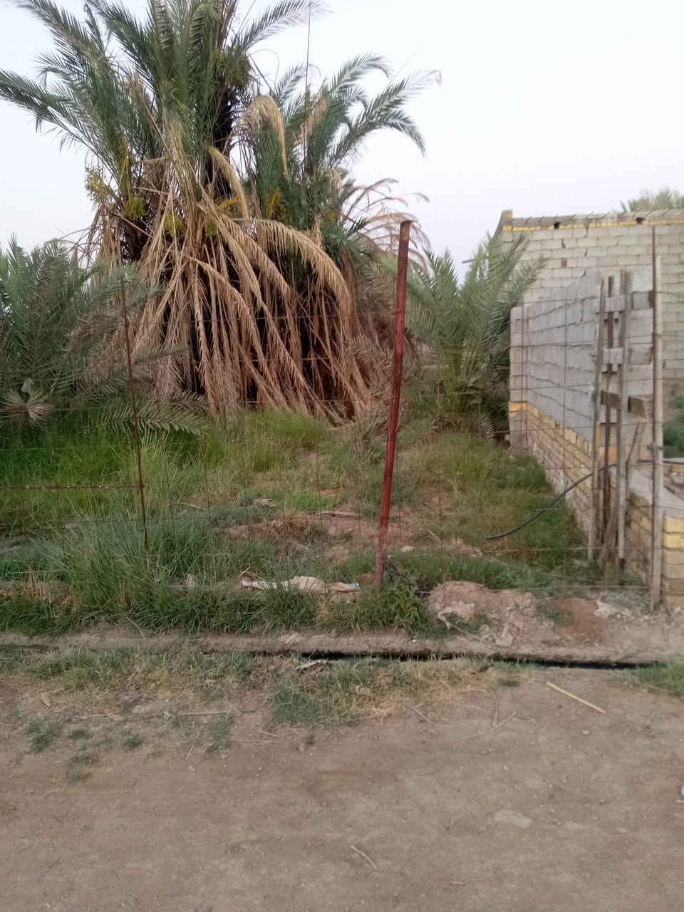 الدار للبيع
المساحه الكليه 310م
مساحة البناء 210 م 
 البناء متكون/ غرفتين +صاله + مطبخ + ديوانيه +مطبخ 
 بناء بلوك +سقف صب كونكريت
 ركن على شارع رئيسي 
المكان طريق النعوميه بستان سيد طاهر 
للاستفسار ***********
