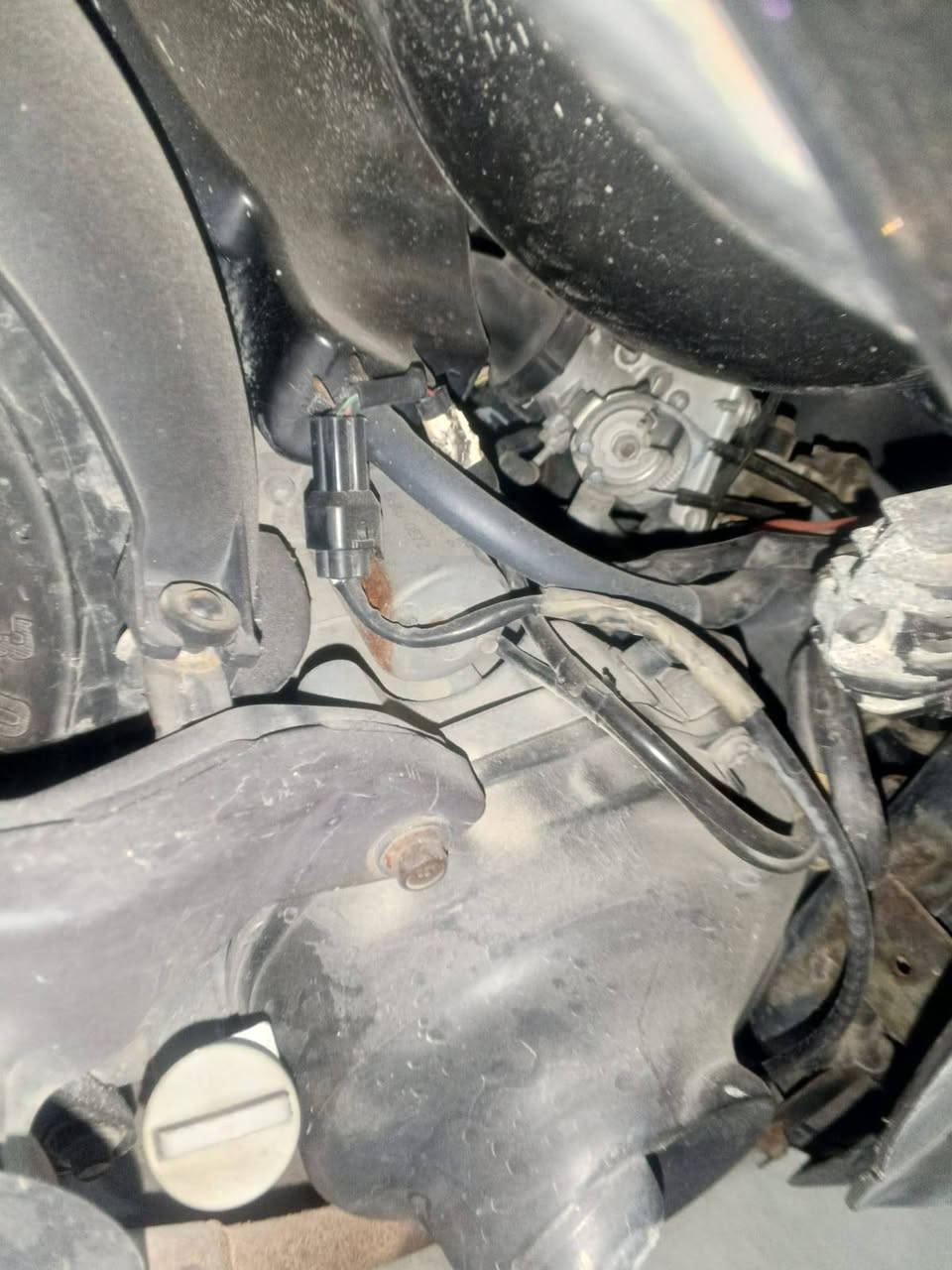 سلام عليكم عندي دراجه ماكس بوليس  دراجه مختمه وكامله سعر دراجه 750الف


**إذا كنت صاحب هذا الإعلان وتريد حذفه لأي سبب، رجاءا أرسل رسالة إلى الدعم الفني**
