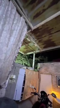 بوكسر • ٢٠١٨ • اربعه كير