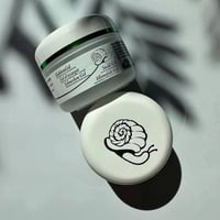 جل الحلزون • أصلي هولندي • تجميلي