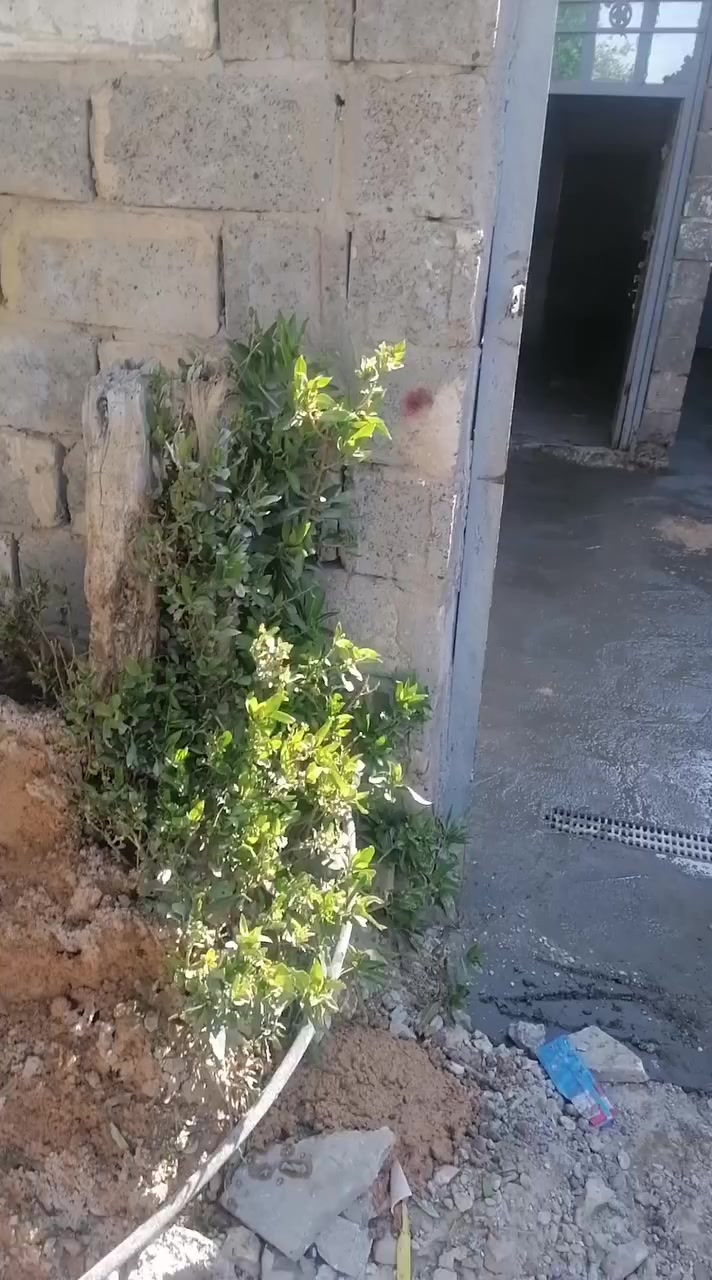 بيت تجاوز ايجار بلمعسكر شهداء السيديه بنهايه شارع شنانه الايجار


**إذا كنت صاحب هذا الإعلان وتريد حذفه لأي سبب، رجاءا أرسل رسالة إلى الدعم الفني**