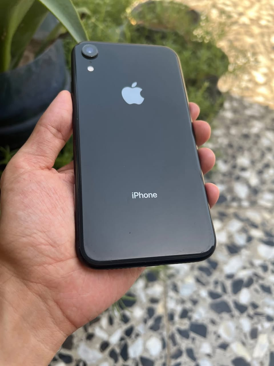 سلام عليكم. اكس ار تفاصيله كدامك 
سعره 125الف فقط. 
م سامراء


**إذا كنت صاحب هذا الإعلان وتريد حذفه لأي سبب، رجاءا أرسل رسالة إلى الدعم الفني**