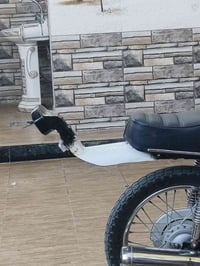 سبايدر • موتوسيكل • ثلاث عجلات