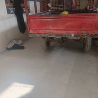 ستوته • مديل ١١ • البصرة شط العرب