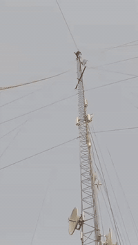 السلام عليكم 
***********.   ***********
جانب من اعمالنا فتح وشد برج في بابل 
مستعدون لتنصيب وصيانه كافة ابراج الانترنت في كافة محافضات العراق 😉
