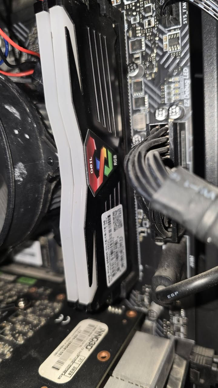 بي سي مستعمل للبيع
i5 12400f
Gtx 1660 super inno3d
Ram 16 2x8  3200 ddr 4
M.p msi h610 pro ddr 4
M.2 : 512 G
Hdd : 1t
Power 600 w


**إذا كنت صاحب هذا الإعلان وتريد حذفه لأي سبب، رجاءا أرسل رسالة إلى الدعم الفني**