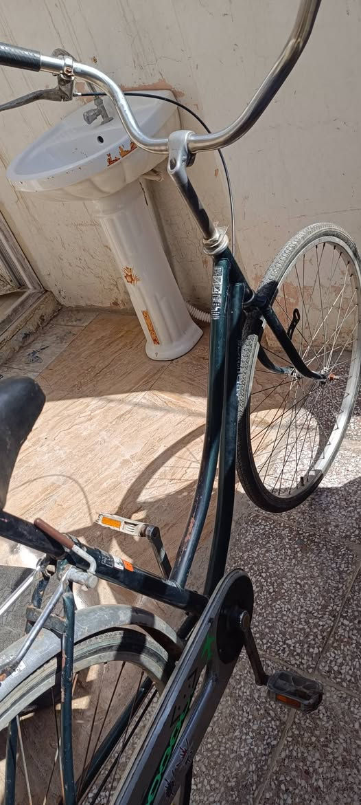 باسكل ياباني لون زيتوني ماعرف لاموديل ولامدري شنو هيج ابيعه سعرة 60


**إذا كنت صاحب هذا الإعلان وتريد حذفه لأي سبب، رجاءا أرسل رسالة إلى الدعم الفني**