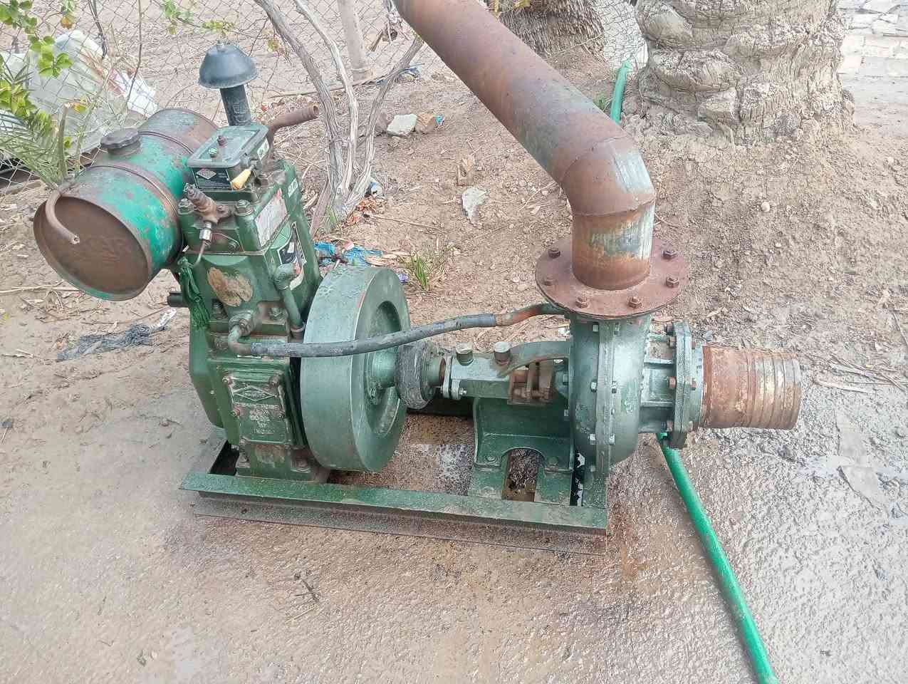 ماطور 10حصان خنزيره 6ب6مستخدم 10ايام نوع توبلان أبو الكف السعر 700 وبيه مجال نكطع الماي وسحبته من الكاع العنوان بابل كفل *********** ماتوجد فيس خاص
