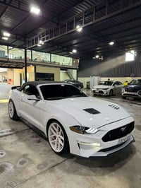 موستنك جيتي بريموم فول ١/١ 2019 ماشيه39,000الف مكينه وكير مامفتوحات جا...