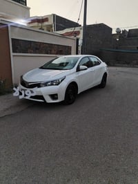 كورلا خليجي • ٢٠١٥ • رقم أربيل
