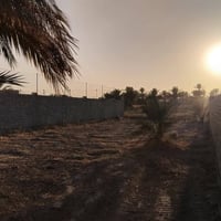 قضاء بلد • سند زراعي • ٦٣٠م