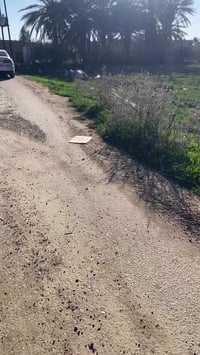 دونم طابو زراعي • الحاوي العلم • خدمات كاملة