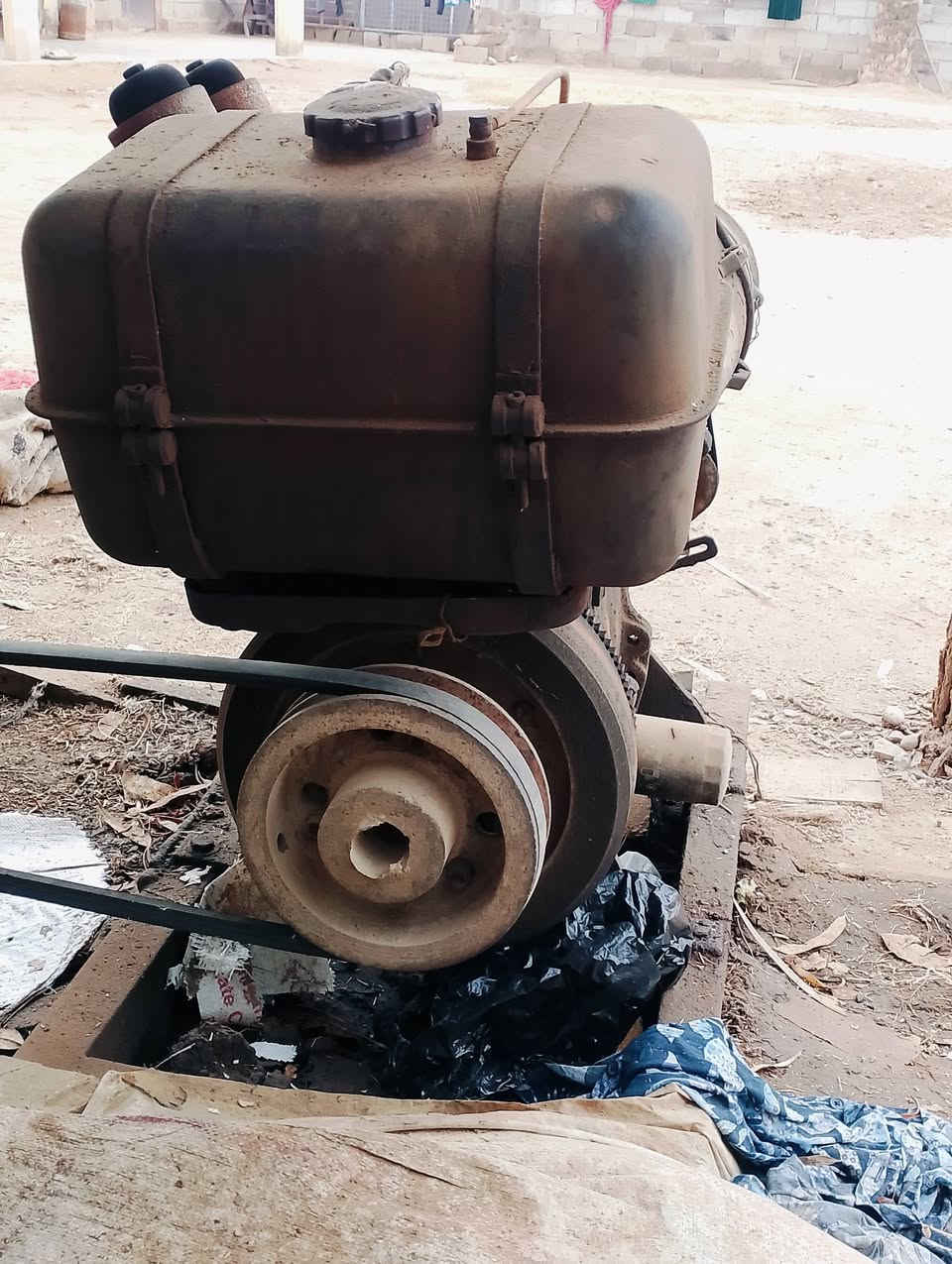 سلام عليكم مولد للبيع معالخنزيرة ***********
