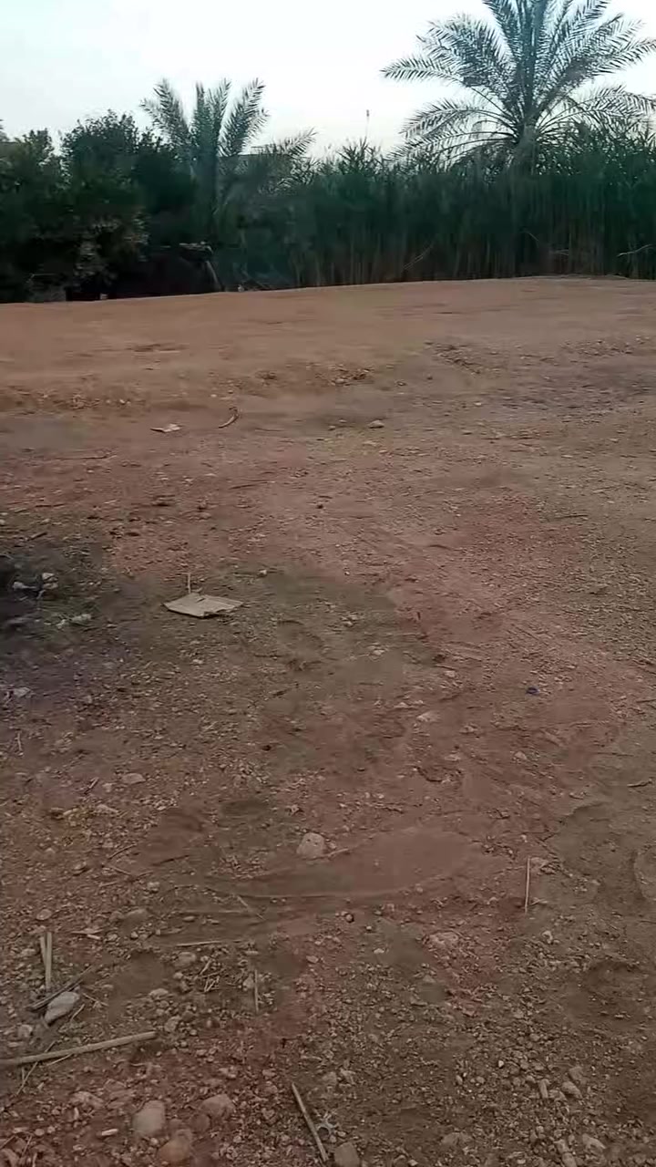 قطعه.للبيع.المساحة.600متر.طوريج.ام رواية
توجد كافة الخدمات من الماء والكهرباء طوارئ والتبليط
***********
