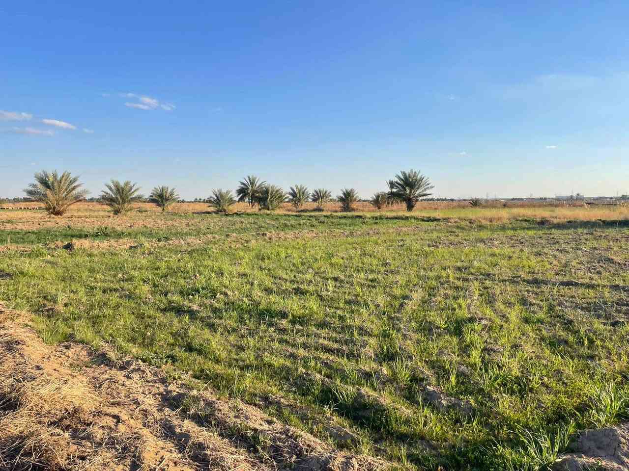 قطعة أرض للبيع.....
طابو زراعي سند ٢٥ تحويل مباشر
المساحة ثنين دونم
وجهه على الشارع ٣٣ متر نزال ١٥٢ متر 
الموقع الرمادي ناحية اليرموك قرب مزرعة شيخ إحسان
موقع مميز صالحة لزراعة او اي مشروع استثماري
السعر المطلوب دونمين بسعر ٣٥ مليون
للإستفسار أكثر الاتصال على الأرقام التالية
*********** واتساب
*********** واتساب
او مراسلة الصفحة في اي وقت نعتذر عن التأخير عن الرد في بعض الأحيان
نستقبل جميع العروض العقارية في مدينة الرمادي
ابو احمد
