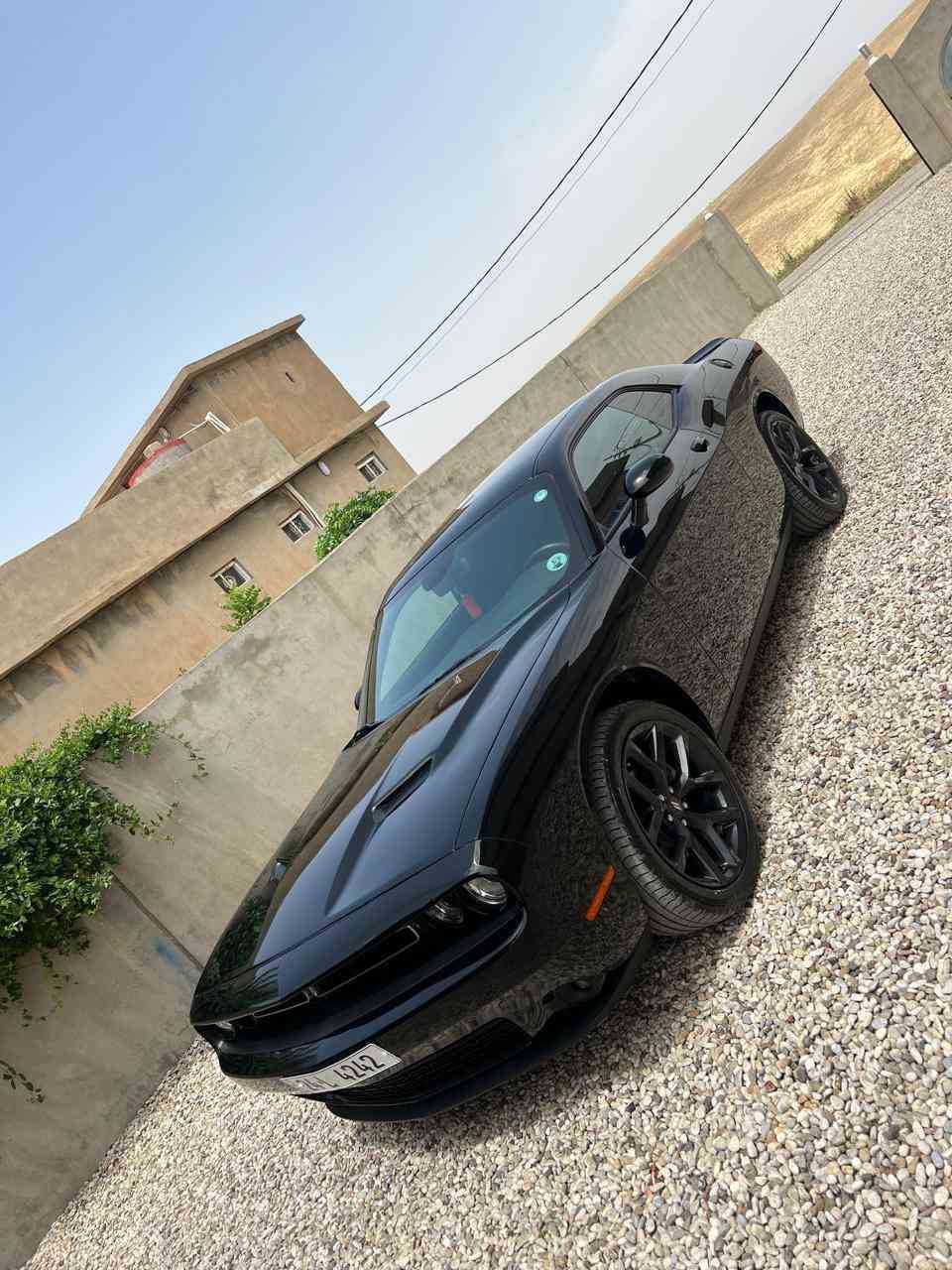 جالنجر 2023 للبيع بيها شبر صبغ بونيد وچاملغ بدون دواخل للبيع قسط ونقد 

للاستفسار *********** - ***********
