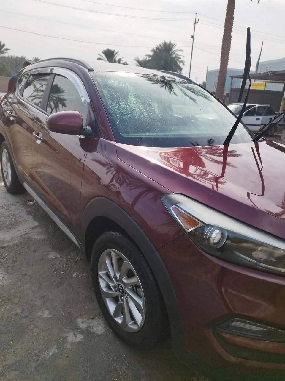 توسان امريكي 2018بدون ضررعداطخه بلباب خلفي ماشيه 118تخم تايرباتري جديدكرسي كهربائي مال جناي بيع اومراوس براف فورسعر175


**إذا كنت صاحب هذا الإعلان وتريد حذفه لأي سبب، رجاءا أرسل رسالة إلى الدعم الفني**