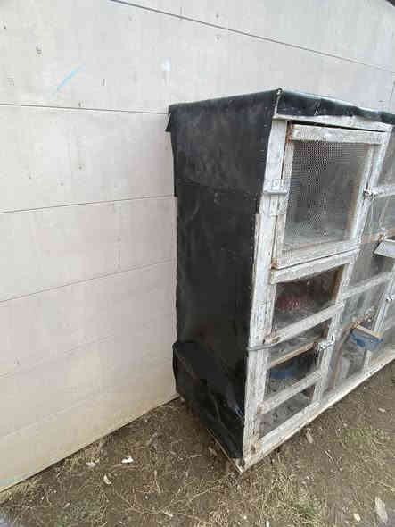 السلام عليكم خانات ام ال 6 كل خانة حجمهة واسع جدا وداخلهن وقافات للفحل وطوس تفقيس وطاسة مال اكل ومشربيات مال مي 
كاملات مكملات فقط تخلي طيورك 
العنوان بغداد السيدية حي الاعلام 
السعر  قفل  بدون عملة ب 100 كاملات بوب سراقي 
حتة جلد اسود مخليلهم مال مطر 
متوفر واتساب ***********
وماعندي توصيل
