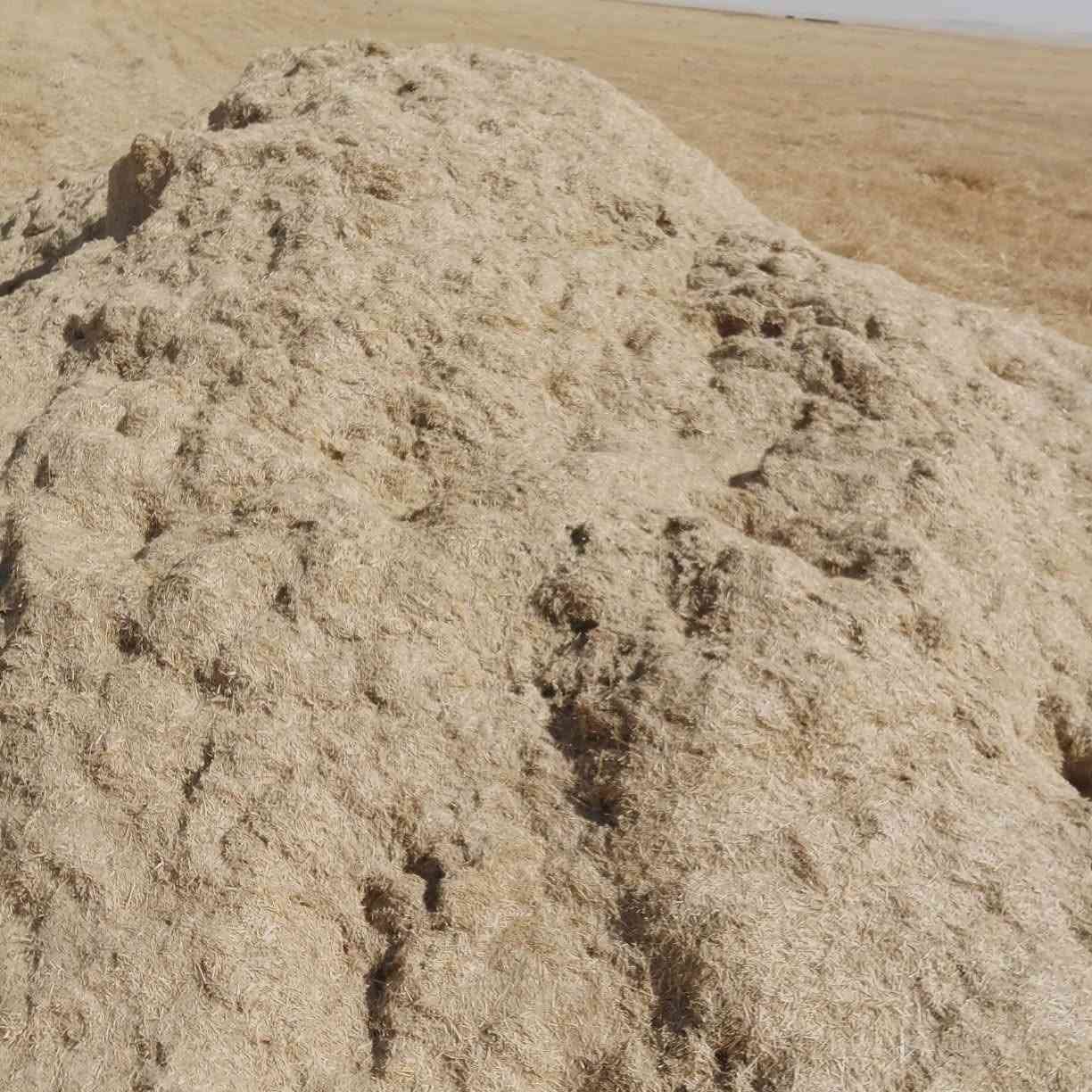 تبن شعير للبيع ***********
