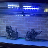 حوض سمك • ١٢٠×٤٠×٥٠ • أربيل