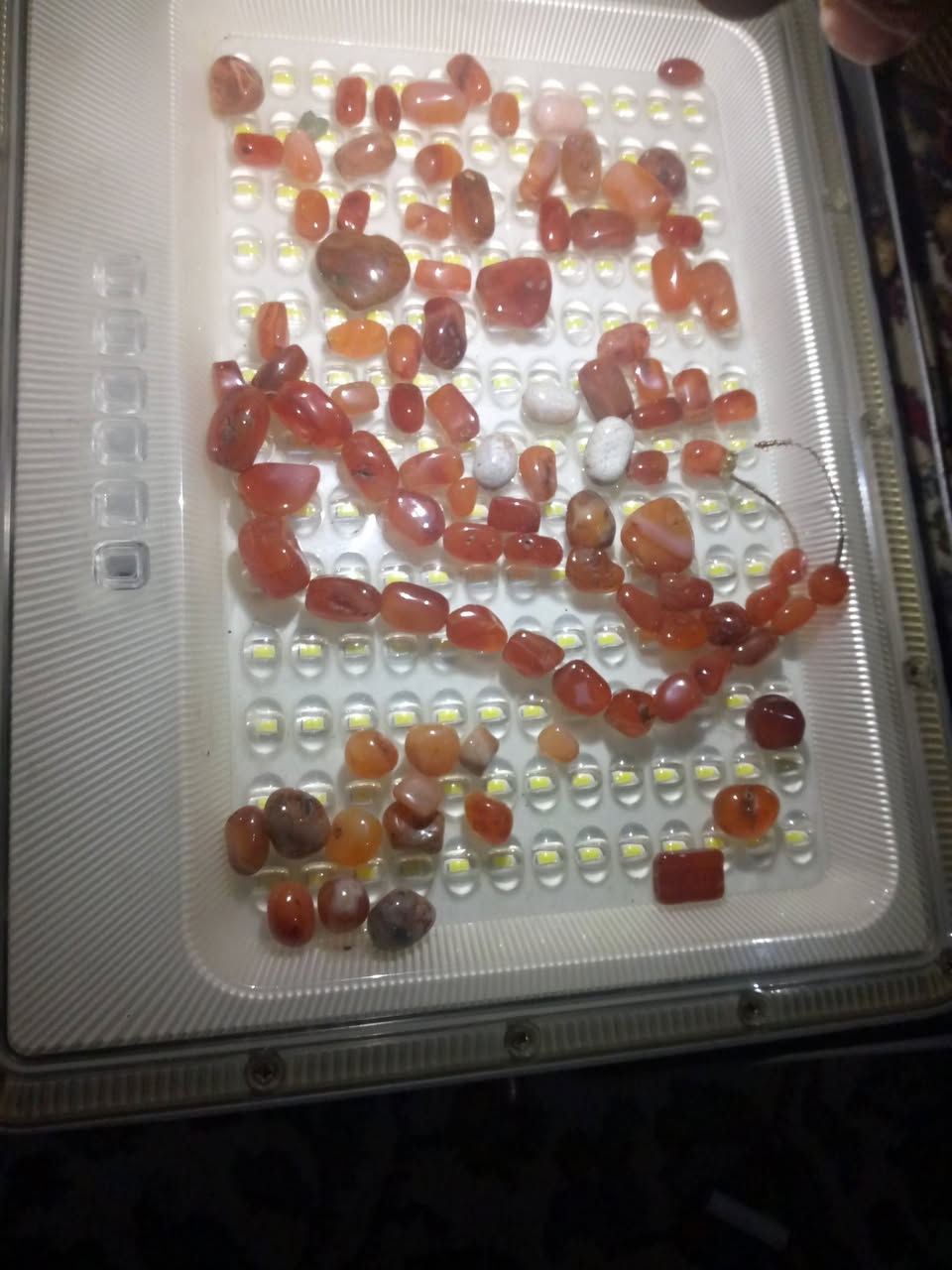 للبيع


**إذا كنت صاحب هذا الإعلان وتريد حذفه لأي سبب، رجاءا أرسل رسالة إلى الدعم الفني**