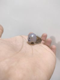 يماني • نوادر • كربلاء