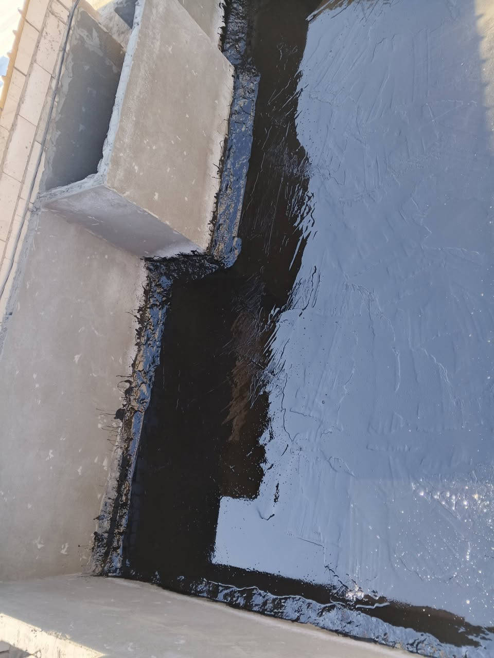 ***********// ***********
