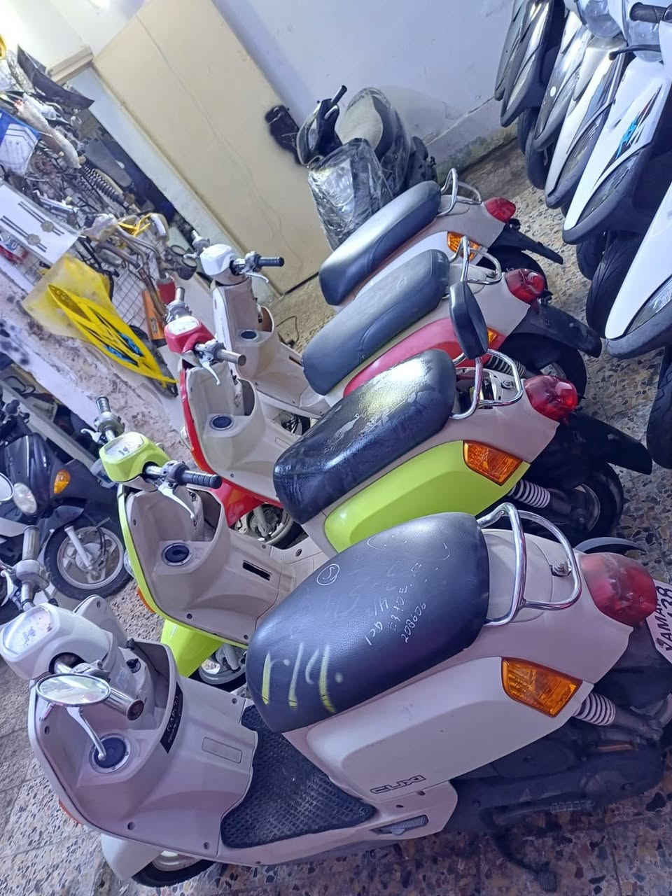 تحية طيبة.
بمناسبة حلول عيد الفطر المبارك 
يعلن معرض محمد عن عروض
ماكس بوليس ٩٥٠⛔️
ماكس بوليس مسطرة ١١٠٠⛔️
ماكس عدله مليون و١٠٠⛔️
بطة ٢٠٠٣ السعر ٨٥٠⛔️
بطة موديل ٩٩ السعر ٧٥٠⛔️
سكنس جبلي ١٣٥⛔️
فلة السعر ١١٠٠⛔️
بريز ١١٠٠⛔️
اكزز تريت السعر ١٨٠٠⛔️
منغولي سلة ١٢٠٠⛔️
ايضا يتوفر ادامة كاملة وتبديل دهن لحميع انواع دراجات وبأسعار تنافسية⛔️
العنوان كربلاء 
خدمي حي رمضان مقابيل مول الإبراهيمي 
معرض محمد ⛔️
***********
***********
