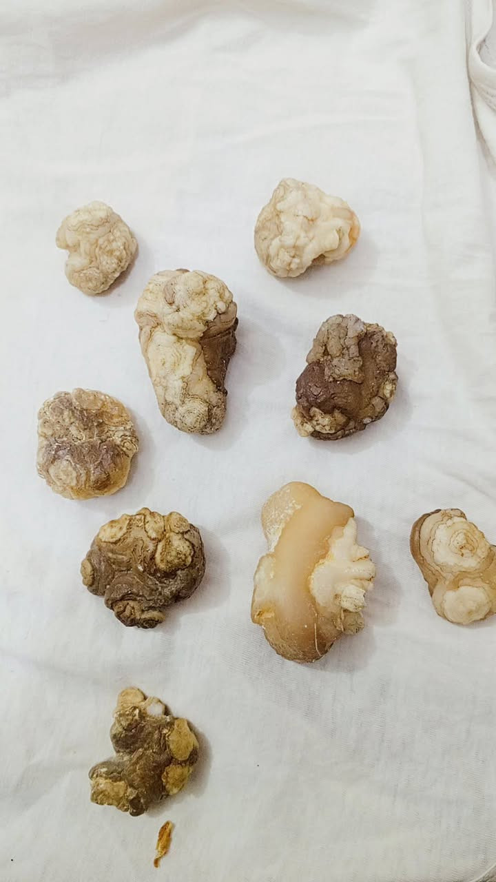 العطف وشذرات البيع
مراوس محابس هم عادي


**إذا كنت صاحب هذا الإعلان وتريد حذفه لأي سبب، رجاءا أرسل رسالة إلى الدعم الفني**