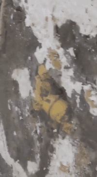 تم بحمد الله
كشف تسريب ماء في مدرسه في بعقوبة التحرير
باداره علي عاشور
العنوان ديالى المقدادية
رقم الهاتف ***********
