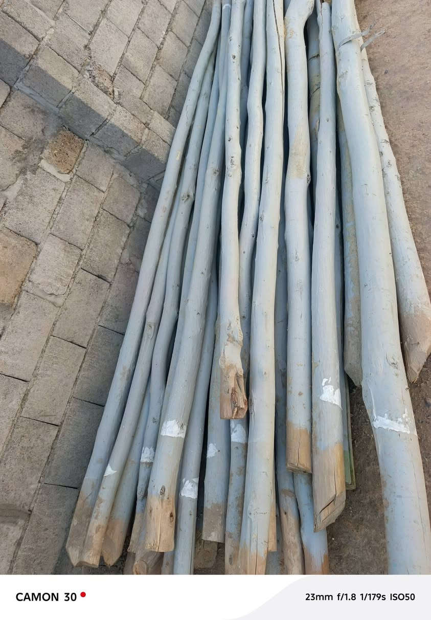 يوجد مدود للبيع سعر الجوز 10 الف


**إذا كنت صاحب هذا الإعلان وتريد حذفه لأي سبب، رجاءا أرسل رسالة إلى الدعم الفني**