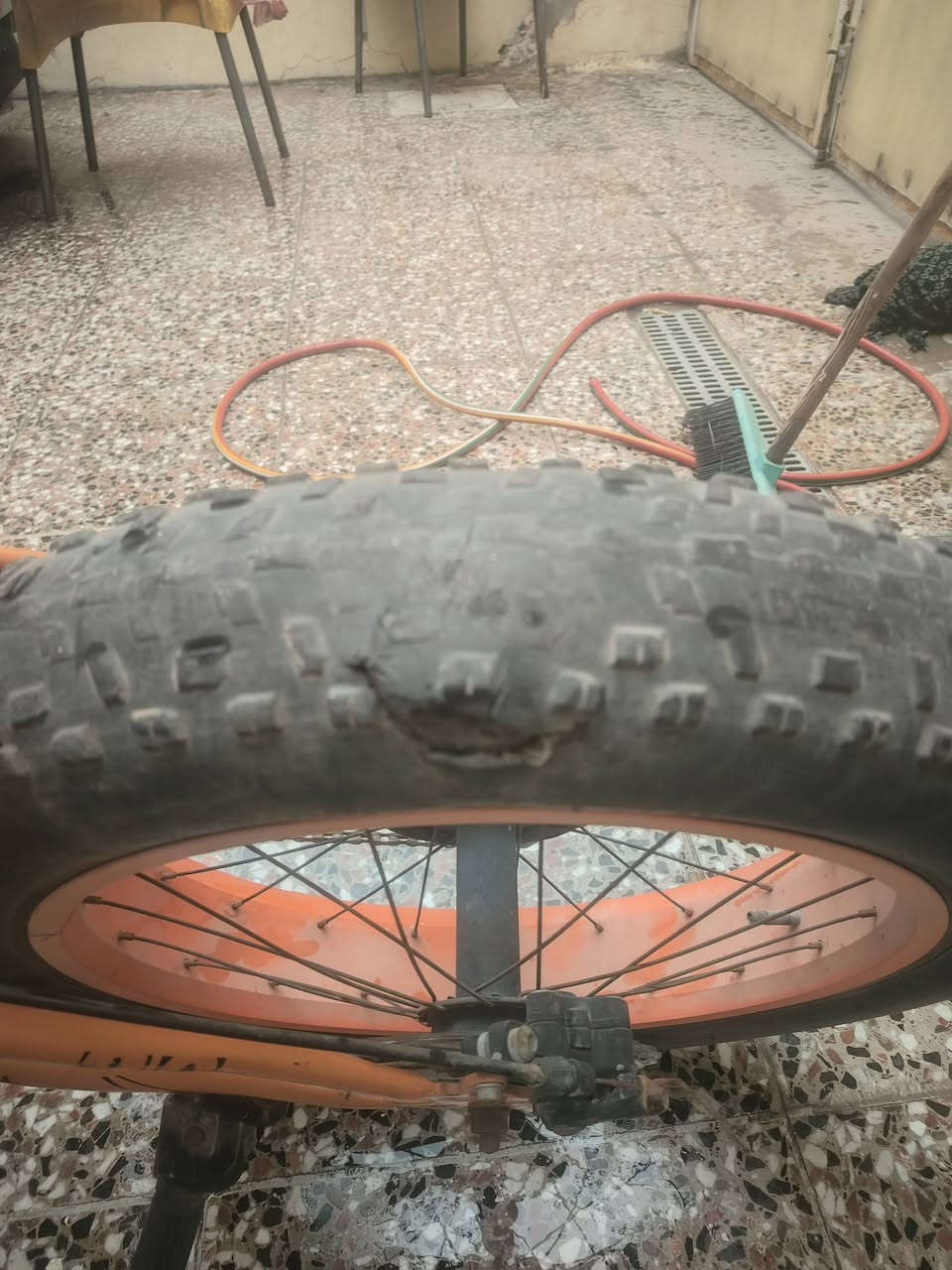 سلام عليكم بايسكل للبيع فايت باك مستخدم يحتاج تاير خلفي سعر ٤٠ الف بي مجال
***********
