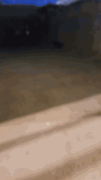 نص قطعه ارض للبيع بالقبله بحي الجامعه 10*20 قريب شارع مستشفى الطفل وقريب البانزين خانه سعرها 145 وبيها مجال اي استفسار على هذا الرقم ***********
