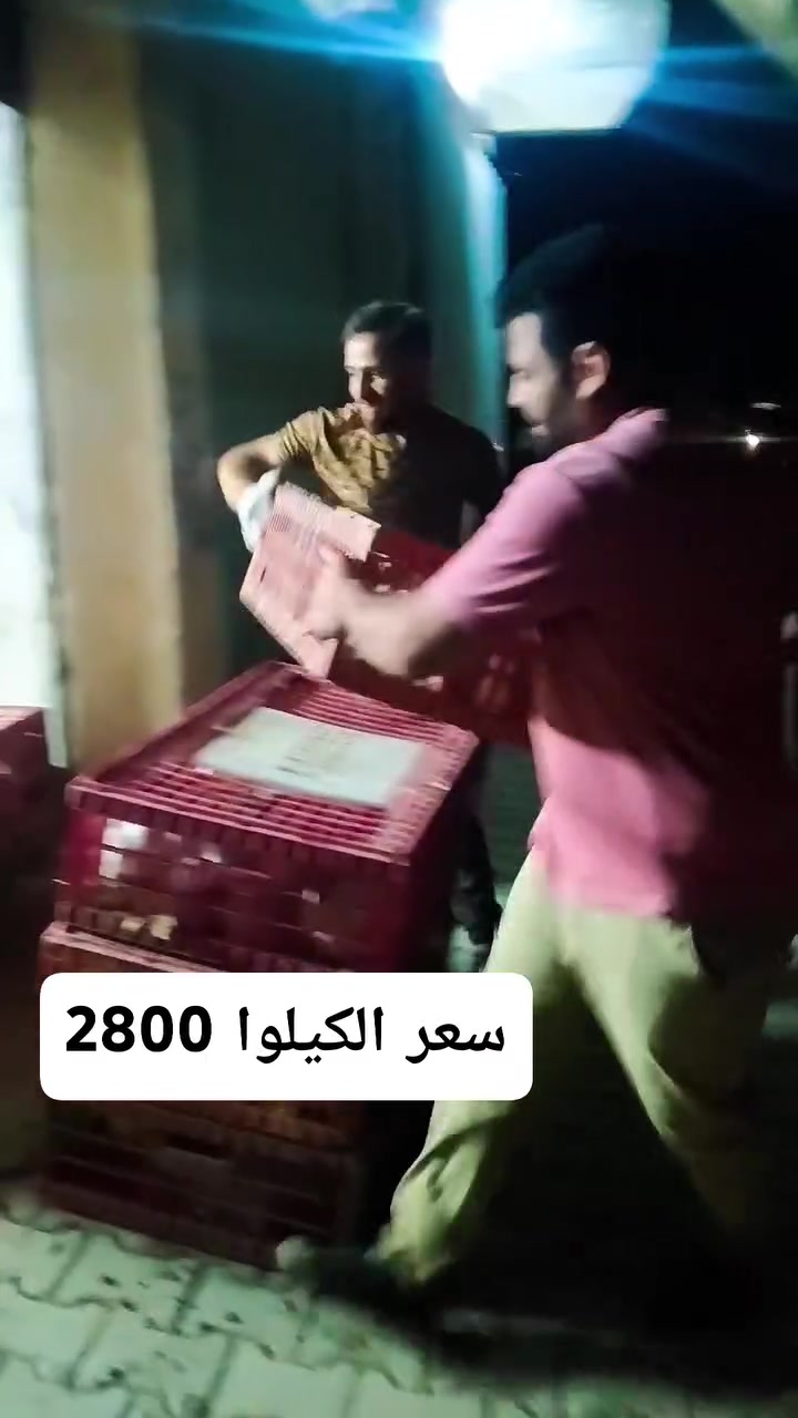 من بعد السلام وصول وجبه جديده من الدجاج الابيض خشن سعر الكيلوا 2800
الحويجه قرب دائرة المرور 

هاتف ***********

وحياكم 🌹♥️

